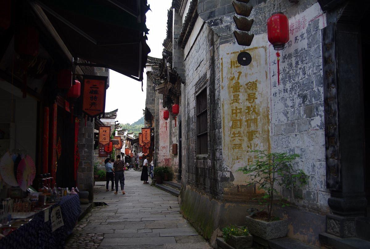 深入探索石灰质土壤是什么?知识星球,尽享学习乐趣